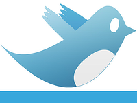 blog-image-twitter-bird