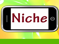 blog-image-niche