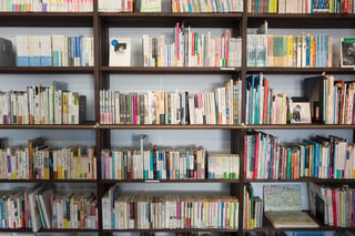 Book case full of books arranged by colour.